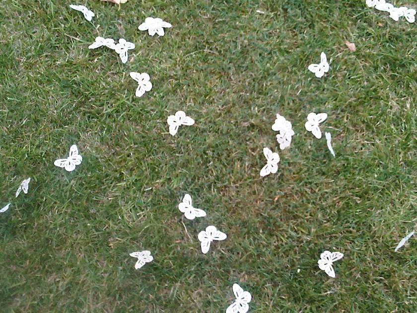 IMG00070-20110108-1622